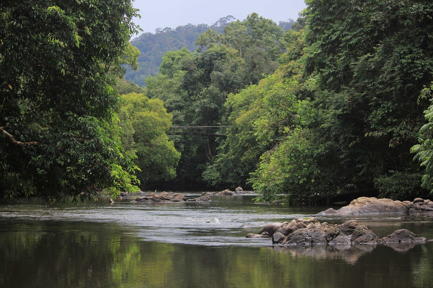 Learn about the rich traditions and arts of Central Kalimantan with a Dayak Tomun Cultural Tour